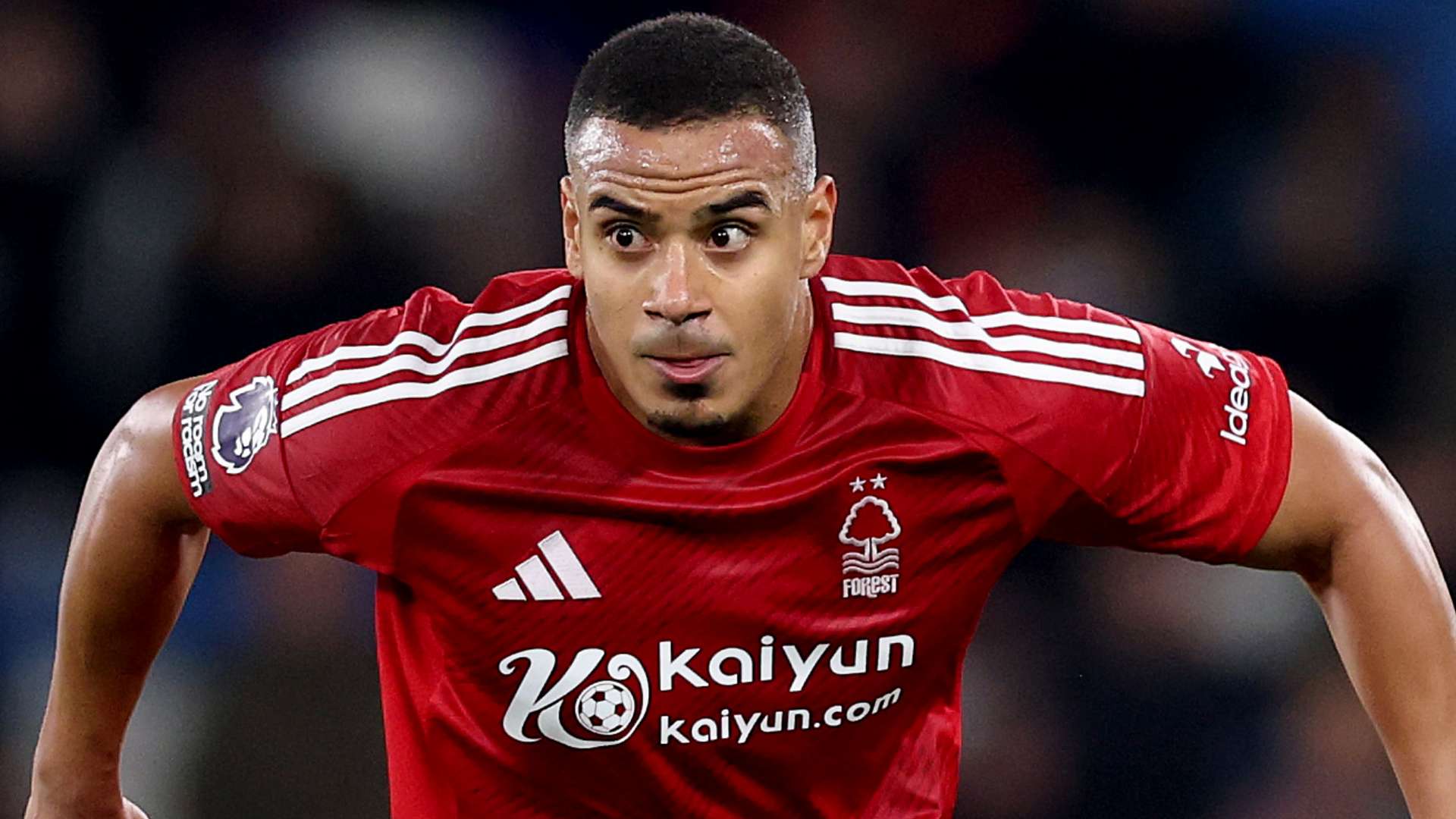 环节展开了 环节展开了